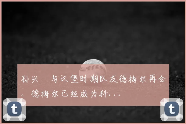 孙兴慜与汉堡时期队友德梅尔再会。德梅尔已经成为科...