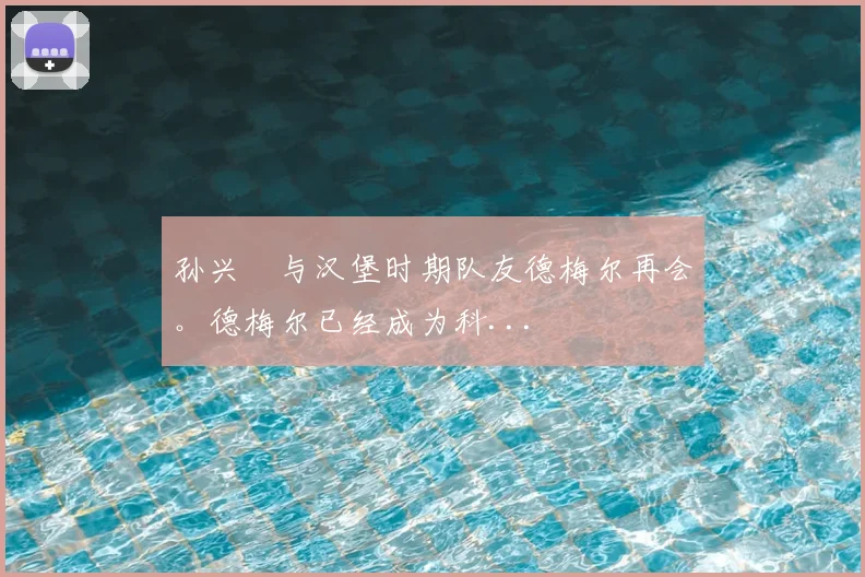 孙兴慜与汉堡时期队友德梅尔再会。德梅尔已经成为科...