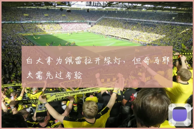 白大拿为佩雷拉开绿灯，但奇马耶夫需先过考验