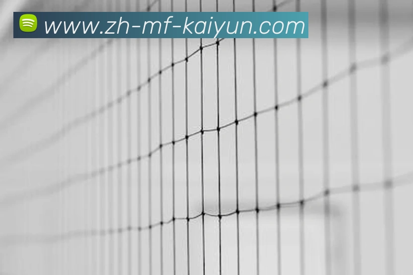 开云APP 高清赛事图